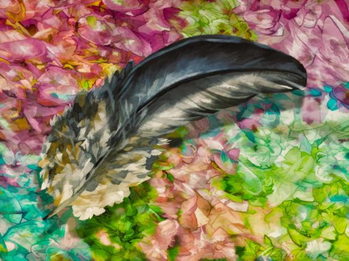 Digital Art/ArtWork/Painting/Kunst/Maleri/Feather - Jens Lundin Art