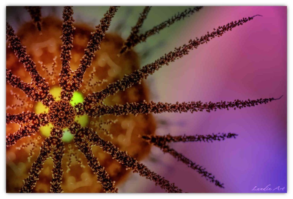 Digital Art/ArtWork/Painting/Kunst/Maleri/Seeds leaving - Jens Lundin Art