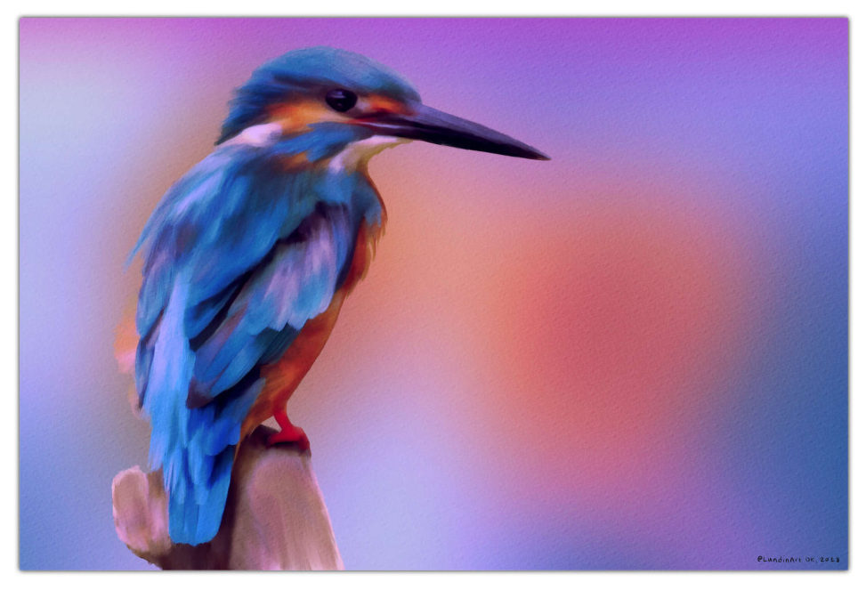 Digital Art,ArtWork,Painting,Kunst,Maleri,King Fisher,Is Fugl,Jens Lundin Art