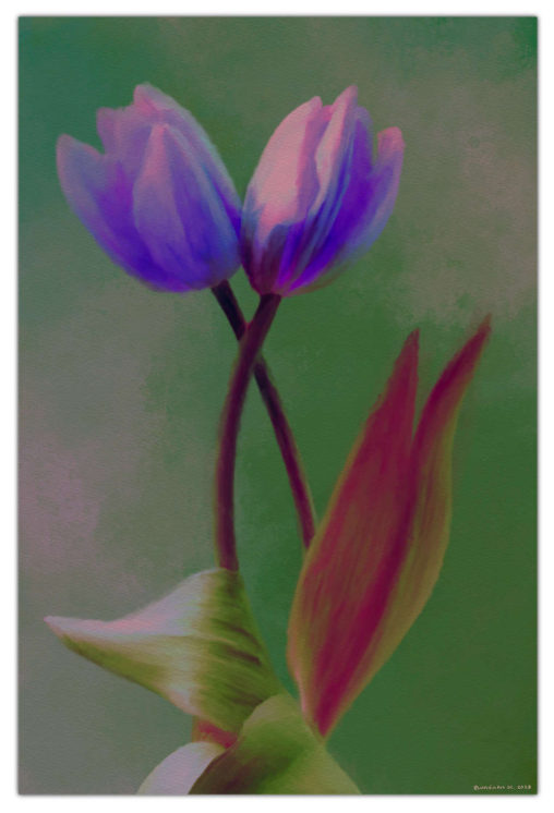 Digital Art,ArtWork,Painting,Kunst,Maleri,Tulips,Tulipaner,Jens Lundin Art